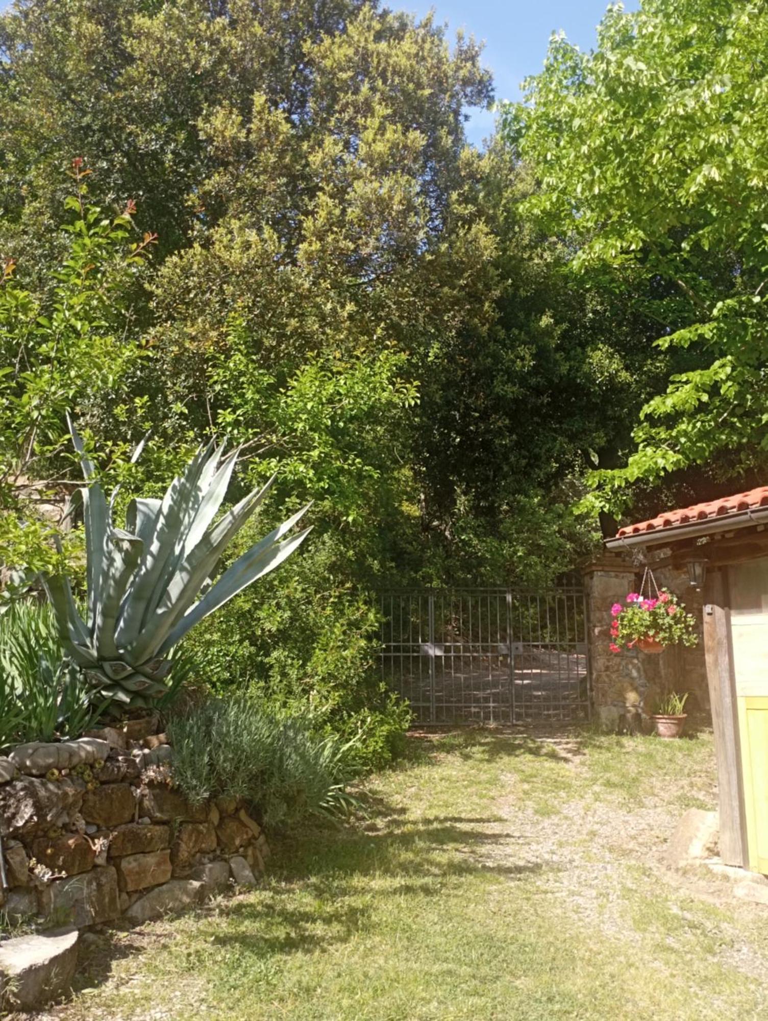 Gasthaus Casa Marju Montemassi Exterior foto